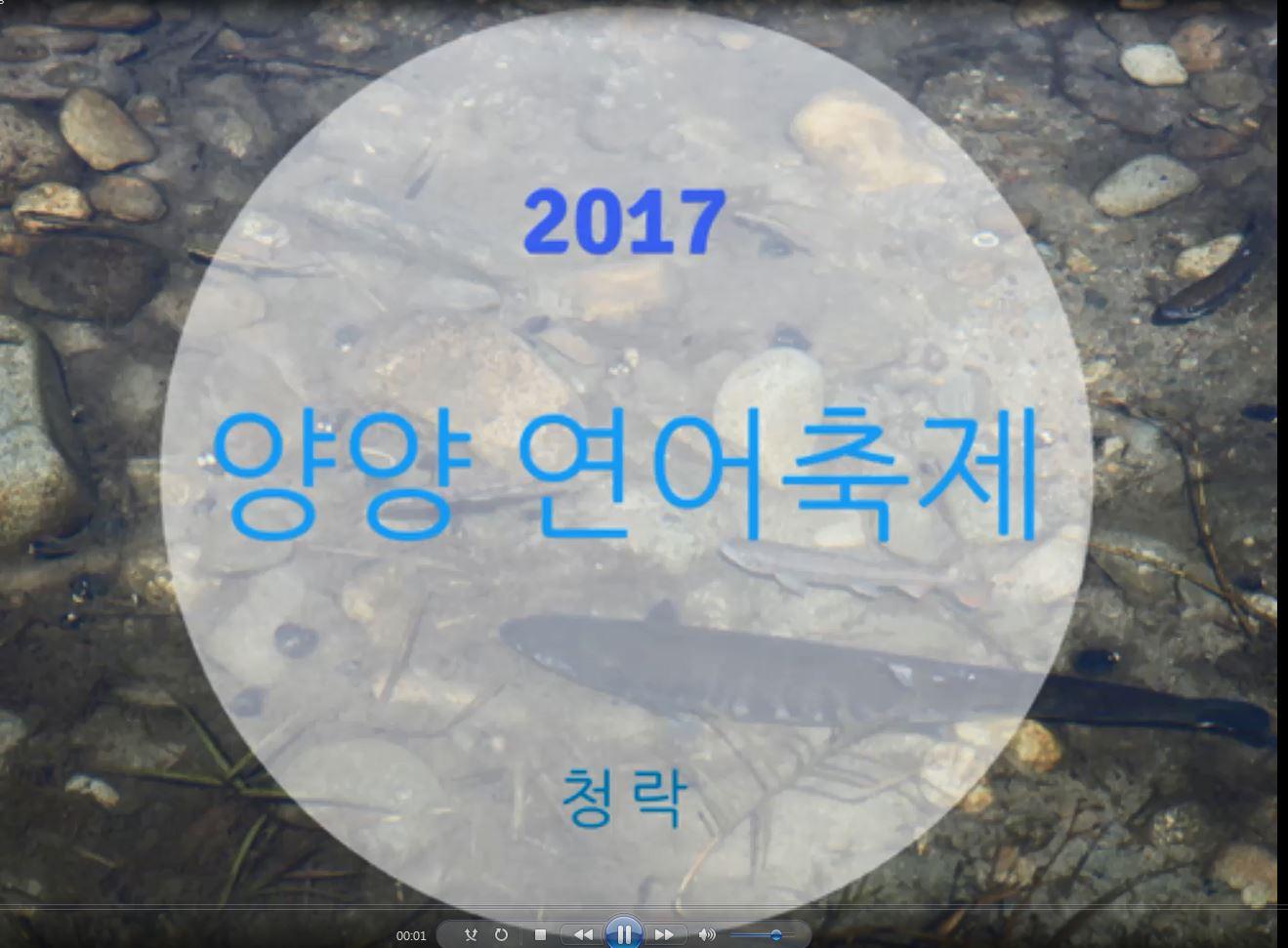 2017 양양연어축제 활동영상