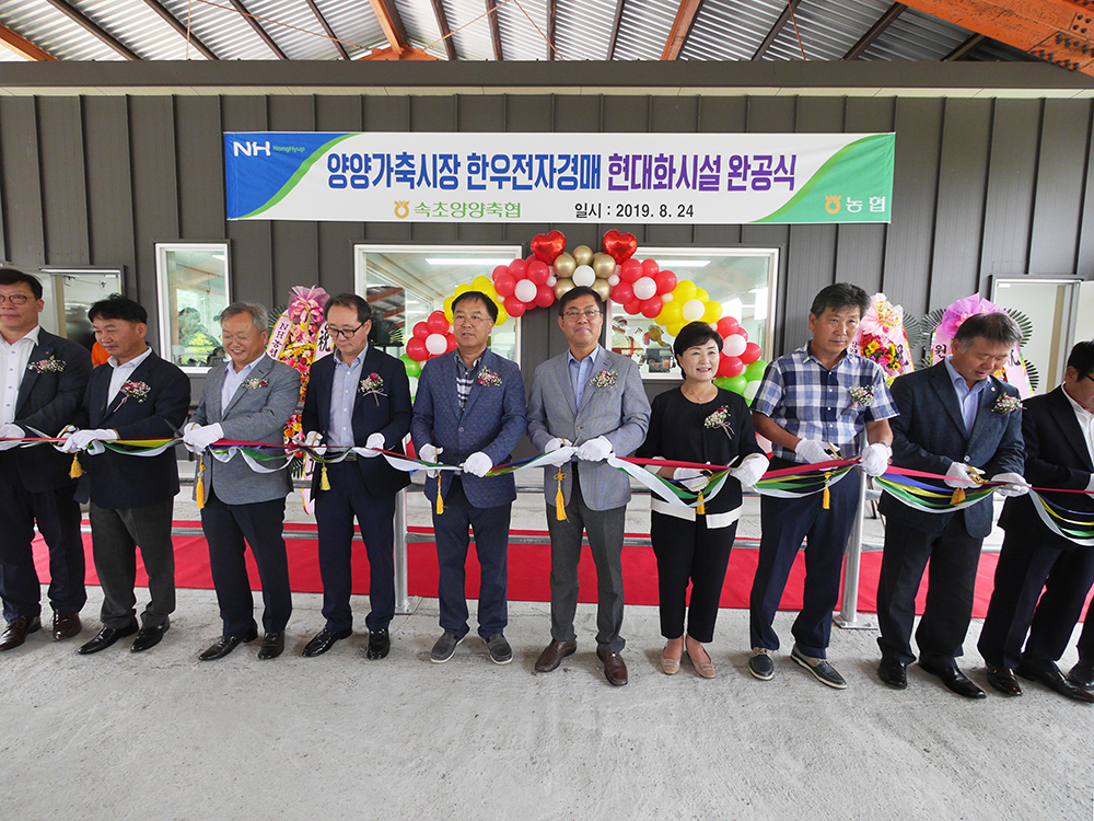 20190824 양양가축시장 한우전자경매 현대화시설 완공식