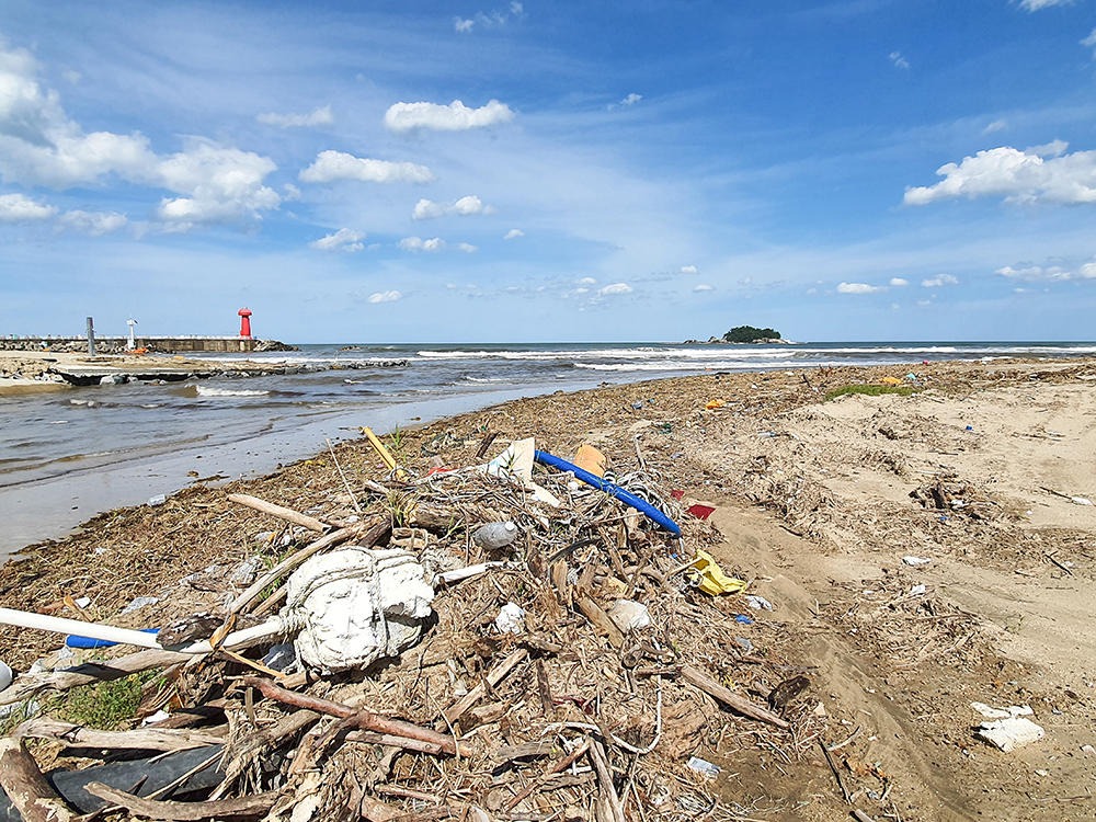 태풍에 밀려온 해양쓰레기
