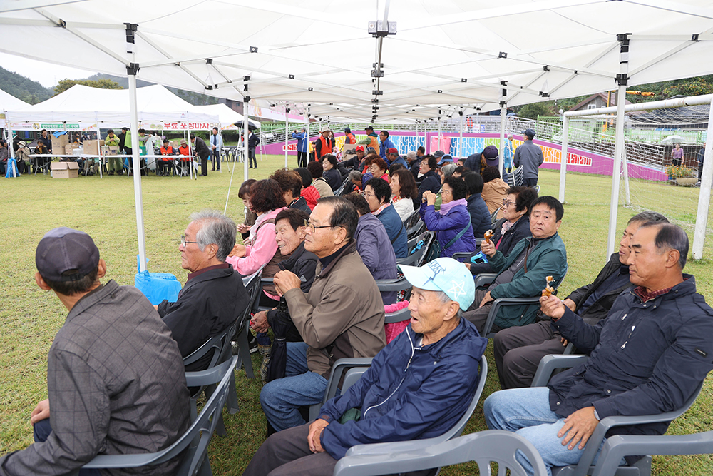 20251016 손양면민 한마음축제